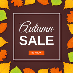 Autumn Sale banner. Vector. Flyer template with fall leaves. Poster, card, label, web design. Bright background. Illustration with colorful leaf.