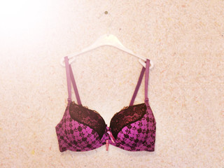Purple bra on hanger, wall background, female style