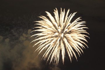 fireworks in the sky
