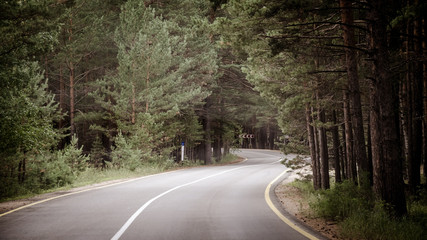 Obraz premium A winding mountain road at sunset in a pine forest. Serpentine. Sun rays light and shadow sun