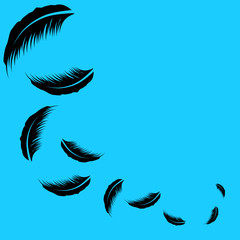 black feathery, flying from the wind