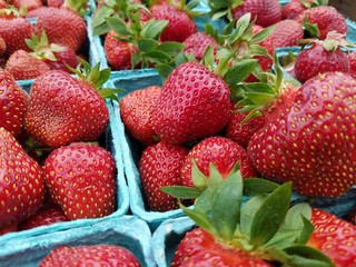 strawberries in a basket