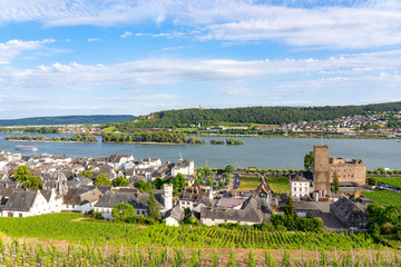 Rüdesheim im Rheintal