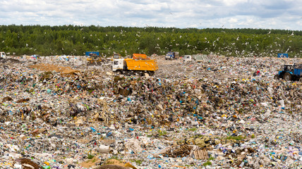 Municipal landfill for domestic waste. Trucks unload garbage at the landfill. Gulls fly over the...