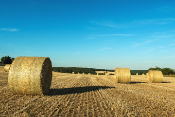 Fototapeta na wymiar Summer harvest. Bales of hay lying on a mowed field with a forest in the background and blue sky .. Lines running towards the horizon.