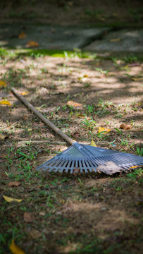 The rake on a wooden stick, collecting grass clippings, garden tools