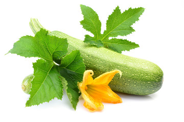 Fresh zucchini on a white background