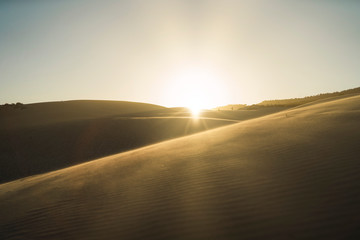 Dunas 