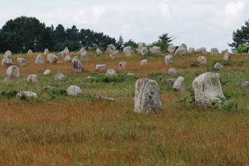 Menhiry w Carnac © Miroslaw