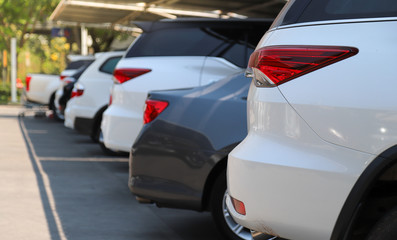 Closeup of rear, back side of white car with  other cars parking in outdoor parking lot in bright sunny day. 