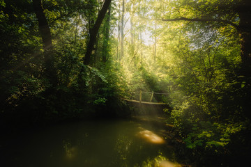Fototapeta na wymiar Bridge over the flowing stream in the forest