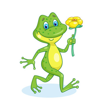 Funny frog comes with a yellow water lily in his hand. In cartoon style. Isolated on white background