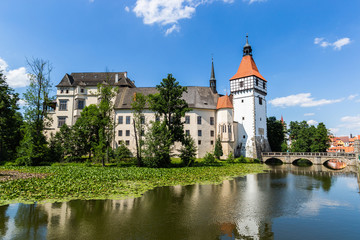 Fototapeta na wymiar Blatna chateau, Czech Republic