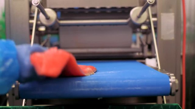 Slow motion Skinning of a Premium Salmon fillets by a machine.