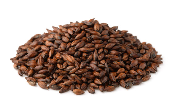 Pile  of dark malted barley seeds