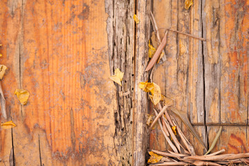 Orange wood texture background surface with old natural pattern and leaves