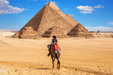 Egyptians on camels near the complex of Giza Pyramids, Egypt