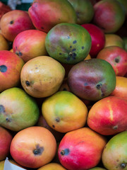 Color mango in fresh market at Lausanne, Switzerland