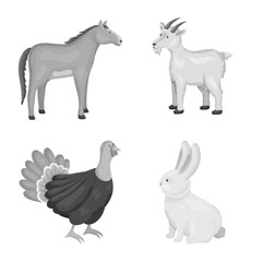 Vector design of homestead and agriculture symbol. Collection of homestead and kitchen stock vector illustration.