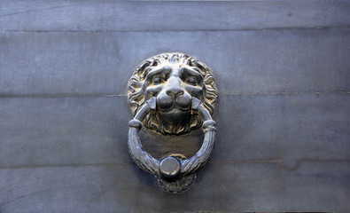 t&ecirc;te de lion