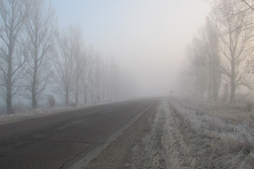 Obraz na płótnie Canvas Asphalt road that passes through a foggy mysterious forest.