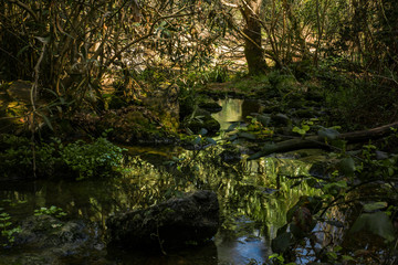 Fototapeta na wymiar Río natural en el bosque naturaleza maravillosa, baños de popea Córdoba España