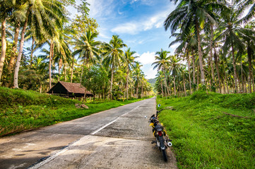 I could ride this road everyday for the rest of my life and never tire of it.
