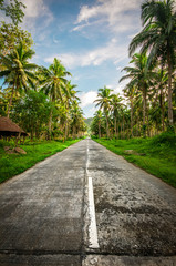 Palm Tree Highway
