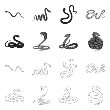 Vector illustration of mammal and danger logo. Set of mammal and medicine stock symbol for web.