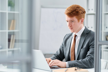 Young serious financial expert looking at online data