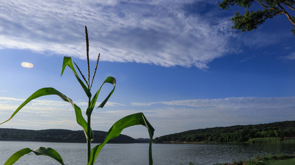 Landscape of Wuhan East Lake of Hubei province.East Lake Scenic Area of Wuhan