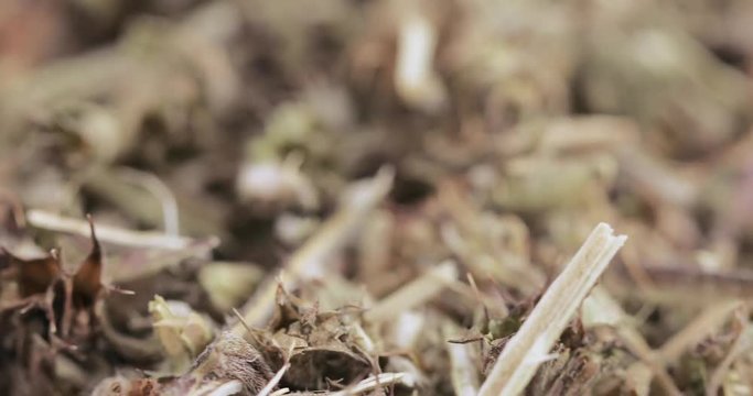 Motherwort grass in bulk