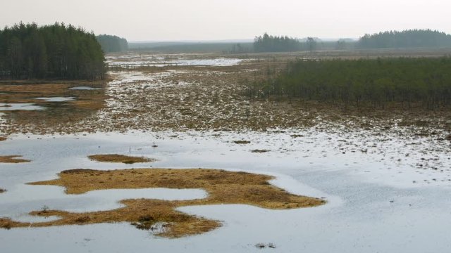 Panorama of Swamp Field In Cepkeliai reserve in Lithuania. Zoom in.