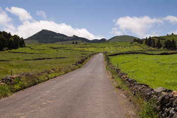 Fototapeta na wymiar Country road, Sao Miguel, Azores Islands