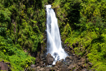 Fototapeta na wymiar Trafalgar Waterfalls Dominica