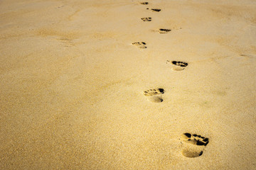Footprints in the sand with copy space.