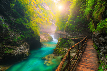 Turquoise Radovna river in Vintgar gorge and wooden footbridge, Slovenia
