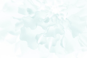 Abstract flower petals close up. Soft focus.