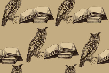 Bird owl with an opened book, seamless pattern. Hand drawing, vector illustration. - 277211470