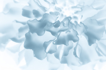 Abstract flower petals close up. Soft focus.