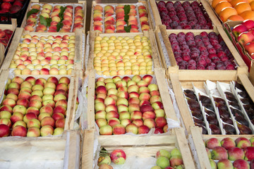 Set of various colorful fresh fruits in tray on street.