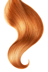 Red hair isolated on white background. Long ponytail.