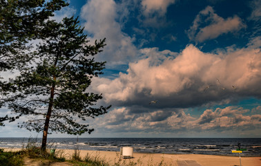 Fototapeta na wymiar Coastal landscape in Jurmala tourist resort, Latvia, Baltic region, Europe
