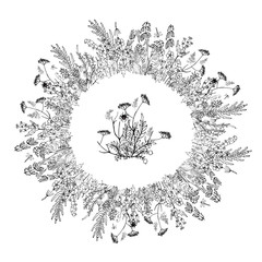 wild flowers and leaves in Doodle style, composition of  stylized wild plants, vector illustration on white background