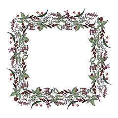square frame of wild plants and flowers  in Doodle style  vector illustration