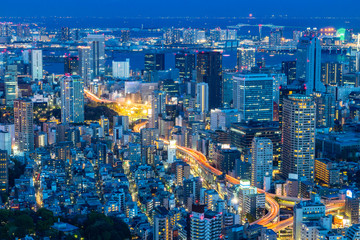 Obraz premium View of modern Tokyo city at night Japan
