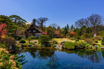 Fototapeta na wymiar Japanese house with spring garden and mt. Fuji
