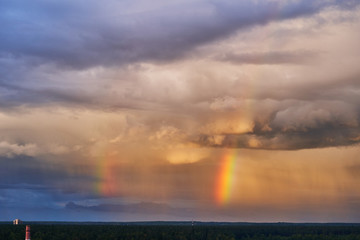 Fototapeta na wymiar Rainbow over the forest against a contrasting sky. Beautiful scenery