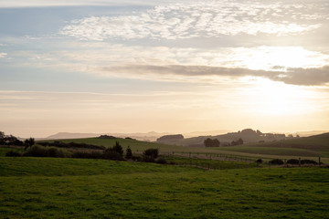 Naklejka premium View aside of National Road 99 with the sun glowing warm just before sunset on the New Zealand Coastal Line and the vegatation