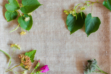 Linen unbleached, old canvas handmade with linden flowers, ninebark and rosehip buds and burdock....